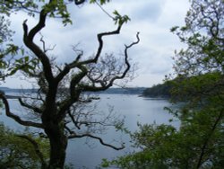 A view of Carrick Roads from Trelissick Wallpaper