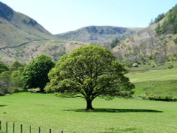 Ullswater near Glencoyne Bay. Wallpaper