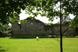 A view of Mettingham Castle Walls Wallpaper