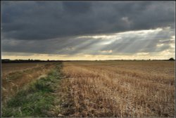 A moments Sun. Wallpaper