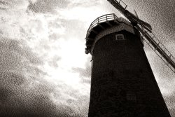 Horsey Mill Wallpaper