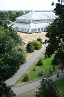 Kew Royal Botanical Gardens, Kew.