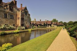 Heady days Wallpaper