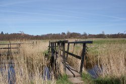 Walkway from Herringfleet windpump