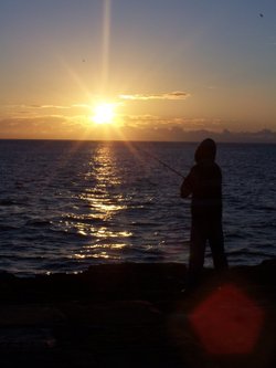 Early bird catches the worm !