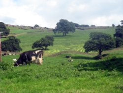 Leeds to Liverpool Canal Wallpaper