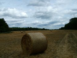 Raiment of the sky. Wallpaper