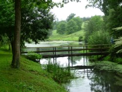 By the Lake Wallpaper