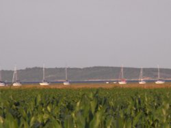 A view over the marshes