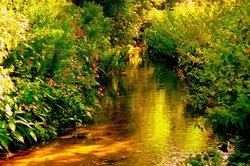 Little stream by the local pub Wallpaper