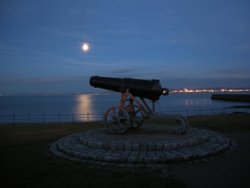 Cannon in the moonlight