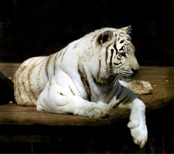 Did I see movement down there?