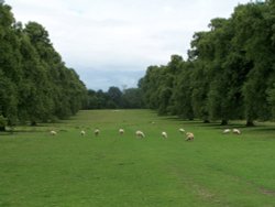 Kiplin Hall grounds, Scorton, North Yorkshire Wallpaper