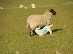 Come on No128. It's 129's turn now!