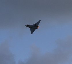 Dartmouth Regatta Wallpaper