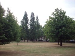 Roundwood Park  NW10 Wallpaper