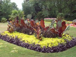 Roundwood Park  NW10 Wallpaper