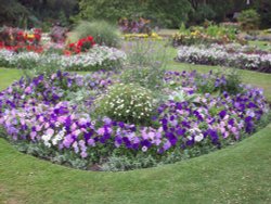 Roundwood Park  NW10 Wallpaper