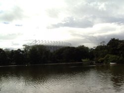 Newcastle FC Stadium from park near St. James' Park Wallpaper