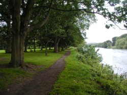 Hexam River