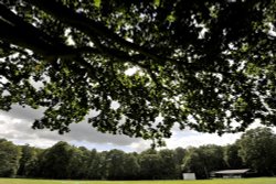 Chipperfield Common Wallpaper