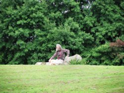 Waiting for his dog at the heathland by Broome lakes Wallpaper