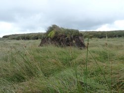 Maiden Hill Wallpaper