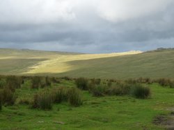 Dartmoor Wallpaper
