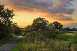 Stour Valley Summer Wallpaper