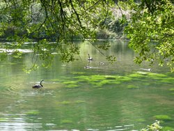 Otterhead lakes Wallpaper