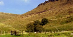 Ashway gap Wallpaper