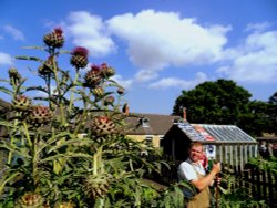 Beamish Miners Garden Wallpaper