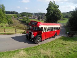 Catch the Bus Wallpaper