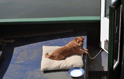 Dapdune Wharf, Guildford, Surrey.