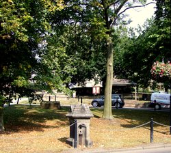 Village Green Wallpaper