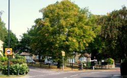 High Ackworth Wallpaper