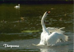 On Thorpeness Mere Wallpaper
