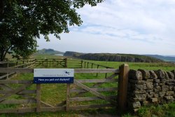Hadrians Wall at Steelrigg Wallpaper