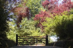 Behind the doors Wallpaper