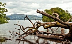Moody day at Derwent water Wallpaper