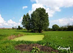 View near the Church Wallpaper