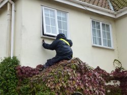 Reydon Scarecrow Competition Wallpaper