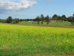 View from the Churchyard Wallpaper