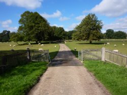 Through the park en-route to the Hall and Church Wallpaper