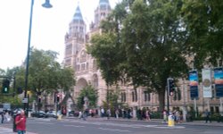 Natural History Museum, London Wallpaper