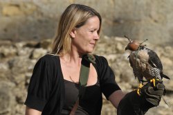 Bird of prey Wallpaper