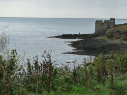 Pendennis Point Wallpaper