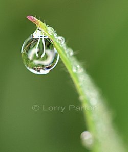 Water droplets