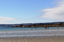 Children playing in the sea at St. Michael's Mount Wallpaper