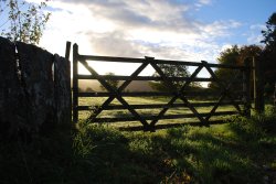 Autumn morning Wallpaper